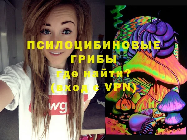 apvp Армянск