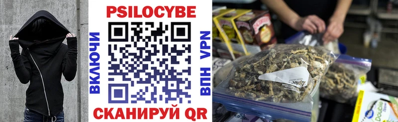 Галлюциногенные грибы прущие грибы hydra Кадников