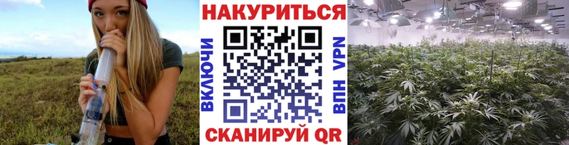 Шишки марихуана тримм  купить  цена  Кадников 